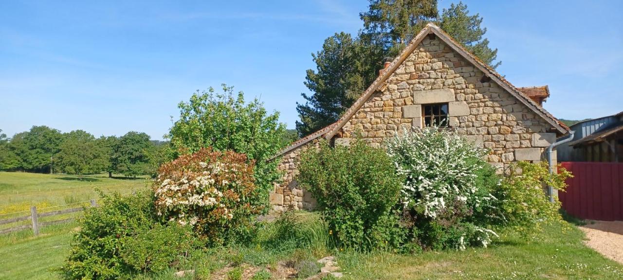 Domaine De Reniere Villa Buxières-les-Mines Екстериор снимка